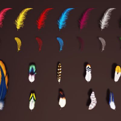 现代彩色羽毛鸟毛墙饰挂件