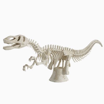 现代恐龙骨架