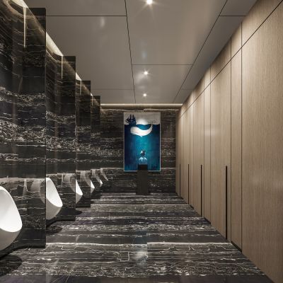 现代公共卫生间