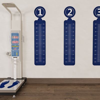 现代医疗设备，医用身高体重秤_称标尺