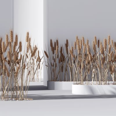 现代仿真麦穗，盆景