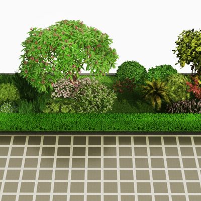 现代灌木花草植物