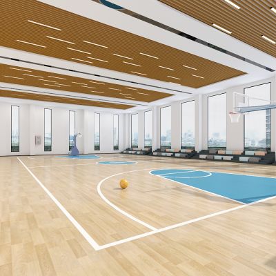 篮球场，篮球馆3D模型