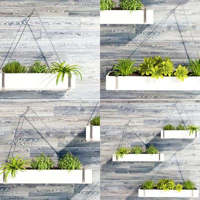 现代悬挂式阳台绿植盆栽