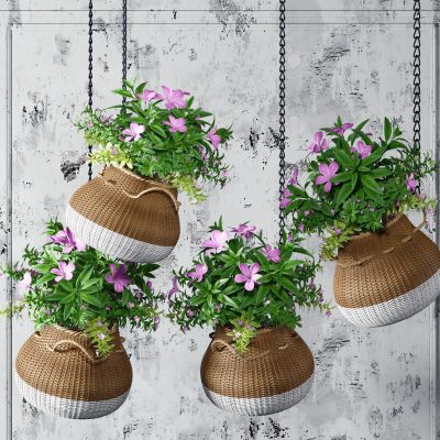 现代吊篮植物盆栽