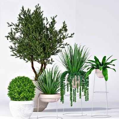 现代绿植盆栽，花盆