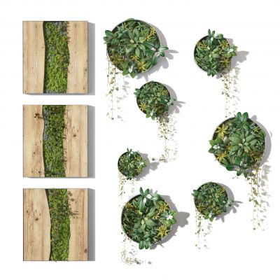 现代植物墙饰，植物绿植墙，苔藓吊装植物绿植3D模型