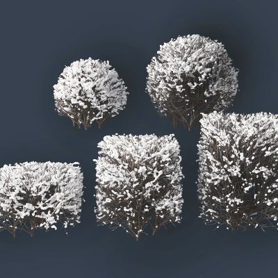 现代雪景灌木