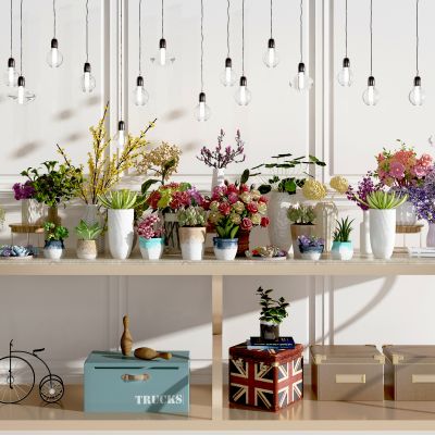 北欧花卉，盆栽组合