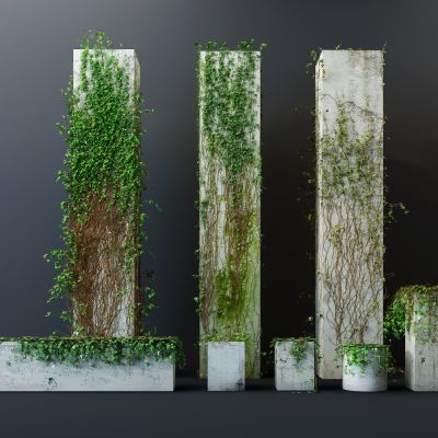 现代绿植藤蔓爬山虎