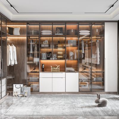 现代衣帽间