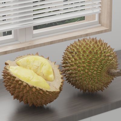 榴莲 水果