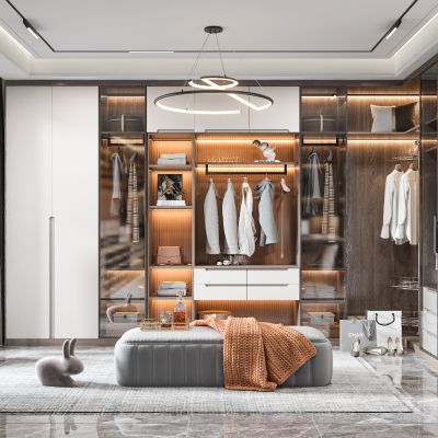 现代衣帽间