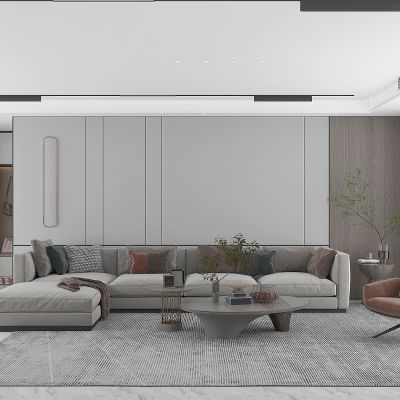 现代客厅沙发背景墙，沙发茶几组合，入户进门玄关鞋柜，客厅线性轨道灯