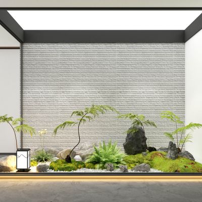 植物堆，景观树，蕨类植物_石头_鹅卵石