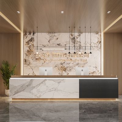 现代公司前台接待