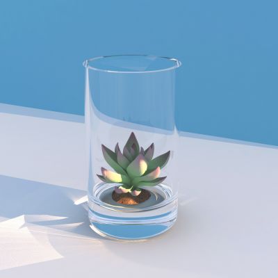 玻璃杯小植物
