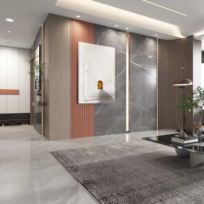 现代轻奢客厅沙发背景墙，茶几，进门玄关鞋柜，端景台