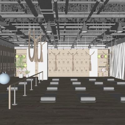 现代瑜伽室|瑜伽垫|瑜伽球|收纳柜|置物架|绿植盆栽|瑜伽器材|铁艺吊灯