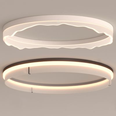 现代简约环形吸顶灯