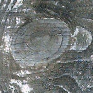 木材,木纹,室外木质