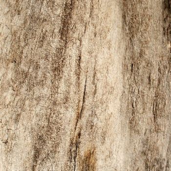 木材,木纹,木材杂3D贴图