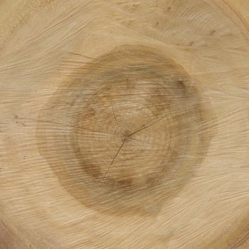 木材,木纹,年轮3D贴图