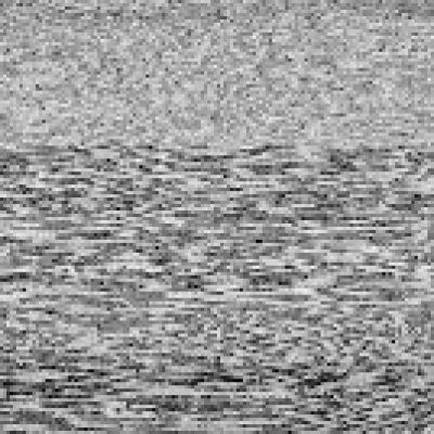 木材,6A超清木纹材质3D贴图