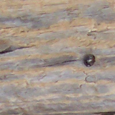 木材,木纹,室外木质3D贴图