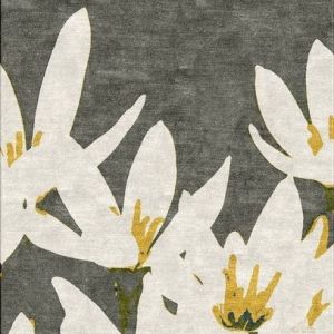 地毯,合集,综合