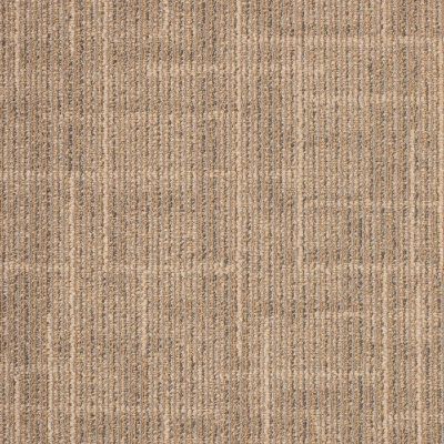 地毯,地毯3D贴图