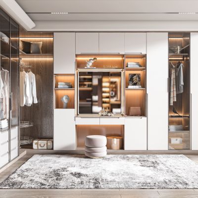 现代衣帽间