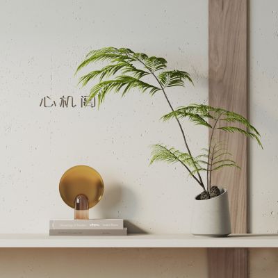 侘寂风细叶绿植盆栽