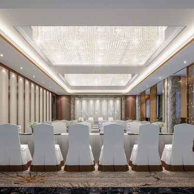 现代酒店多功能厅会议室