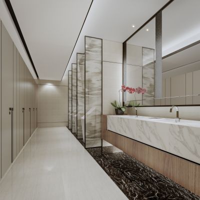 现代公共卫生间