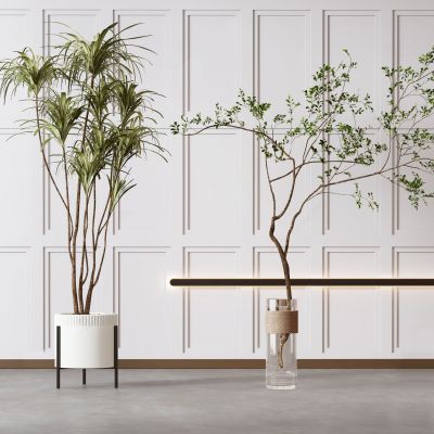 现代盆栽 植物 绿植 花瓶 水生植物