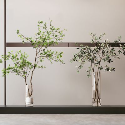 现代花瓶 盆栽 水生植物 绿植 摆件