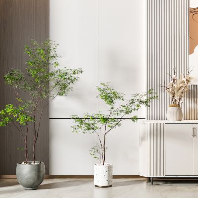 现代盆栽 玄关柜 装饰挂画