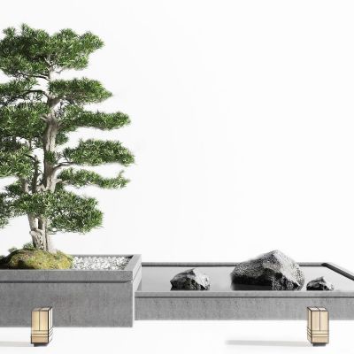 新中式景观小品 松树 花坛 园林景观 景观树