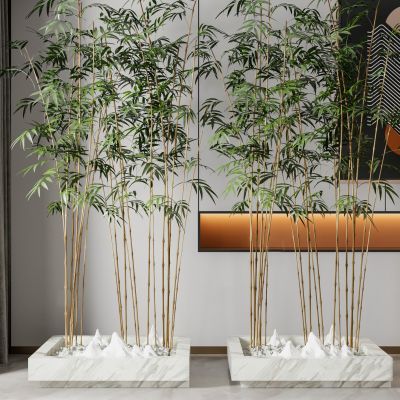 新中式竹子绿植盆栽