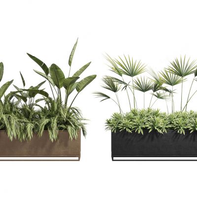 现代植物组合 盆栽 盆景 植物堆 绿植堆