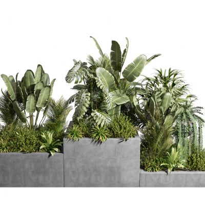 现代户外植物堆