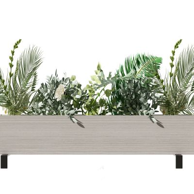 现代盆栽 植物 绿植 花盆