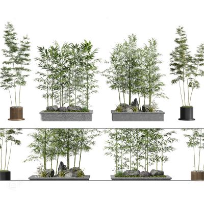 新中式绿植盆栽