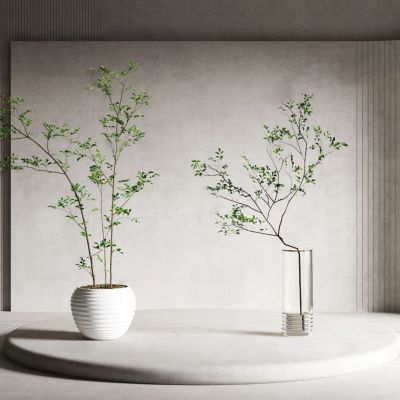 现代盆栽 绿植 植物 摆件