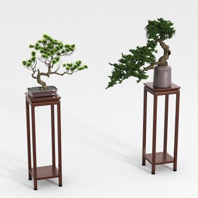 新中式盆栽组合