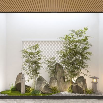 现代造景植物景观