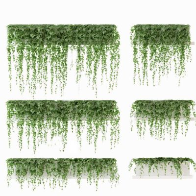 现代盆栽 植物墙 蔓藤 挂篮