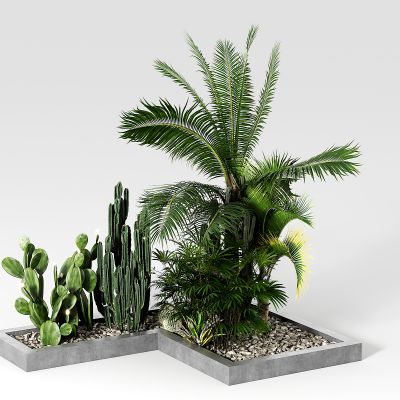 现代景观植物堆