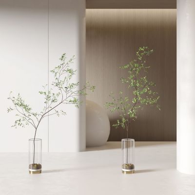 现代水培绿植花瓶